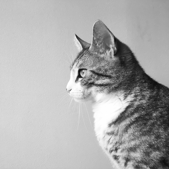 ✨ meet your posher, skyler! 🚀 - Picture 3 of 3